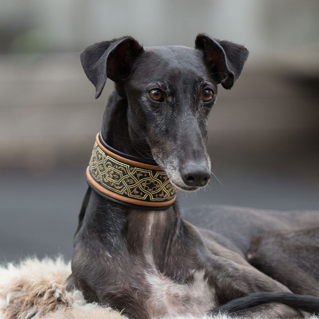 Hundehalsband FLEUR DE LYS II