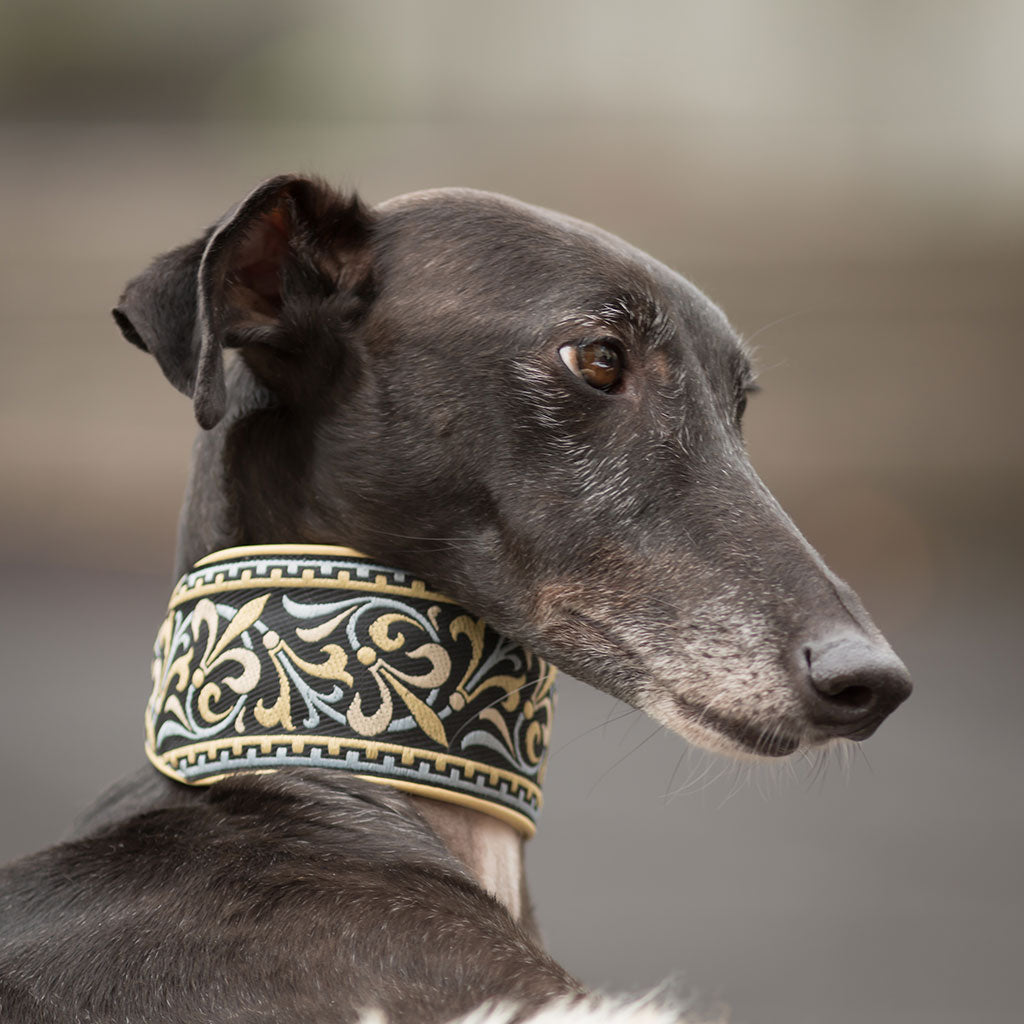 Windhund-Halsband FLEUR DE LYS