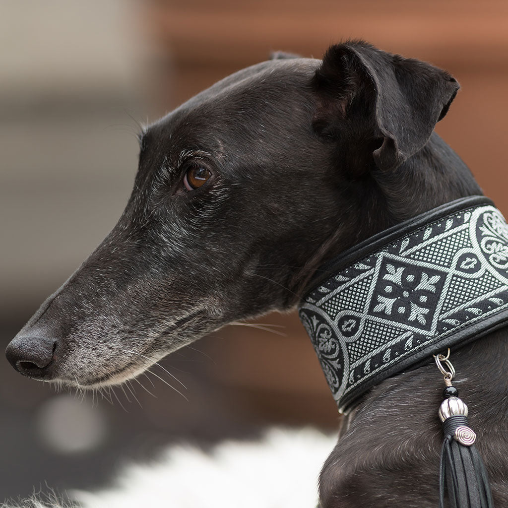 Windhundhalsband ROYAL